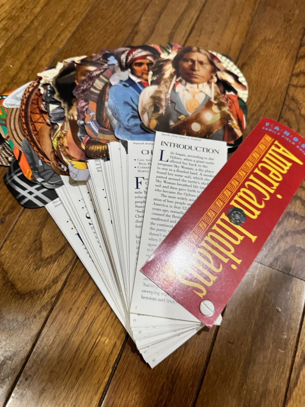 Presidents and American Indians Fandex Field Guides